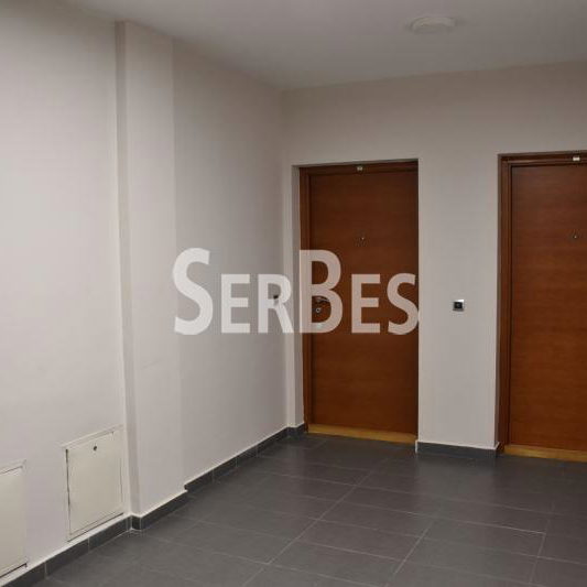 Lokal za izdavanje, Spens, Novi Sad, 185m², 1.850 €/mes