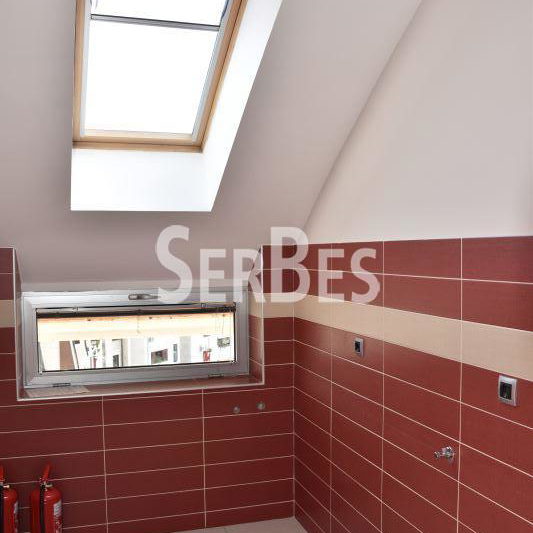 Lokal za izdavanje, Spens, Novi Sad, 185m², 1.850 €/mes