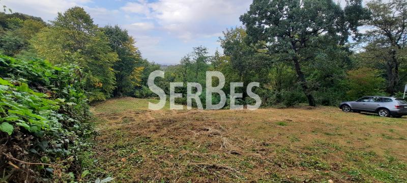 211001456-1-20231020140515 Plac na prodaju, Popovica, Novi Sad, 133.900 €