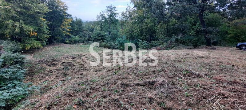 211001456-4-20231020140516 Plac na prodaju, Popovica, Novi Sad, 133.900 €