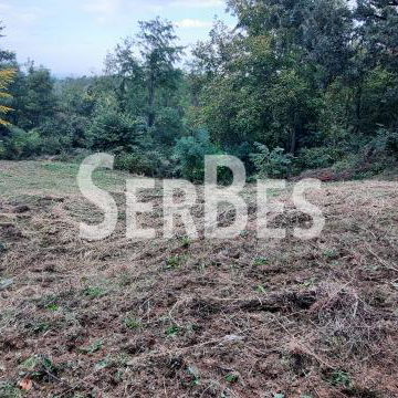 Plac na prodaju, Popovica, Novi Sad, 133.900 €
