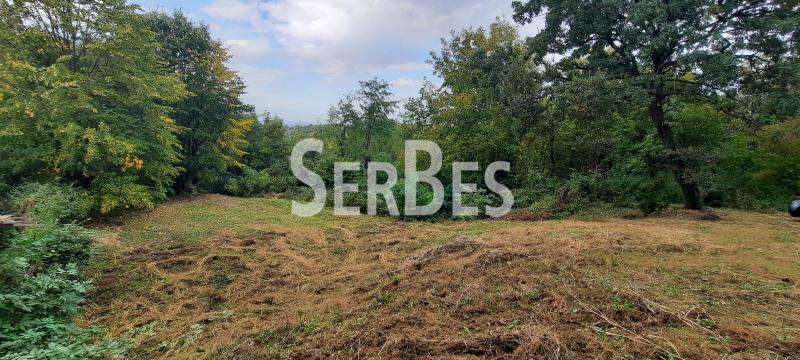 211001456-8-20231020140520 Plac na prodaju, Popovica, Novi Sad, 133.900 €