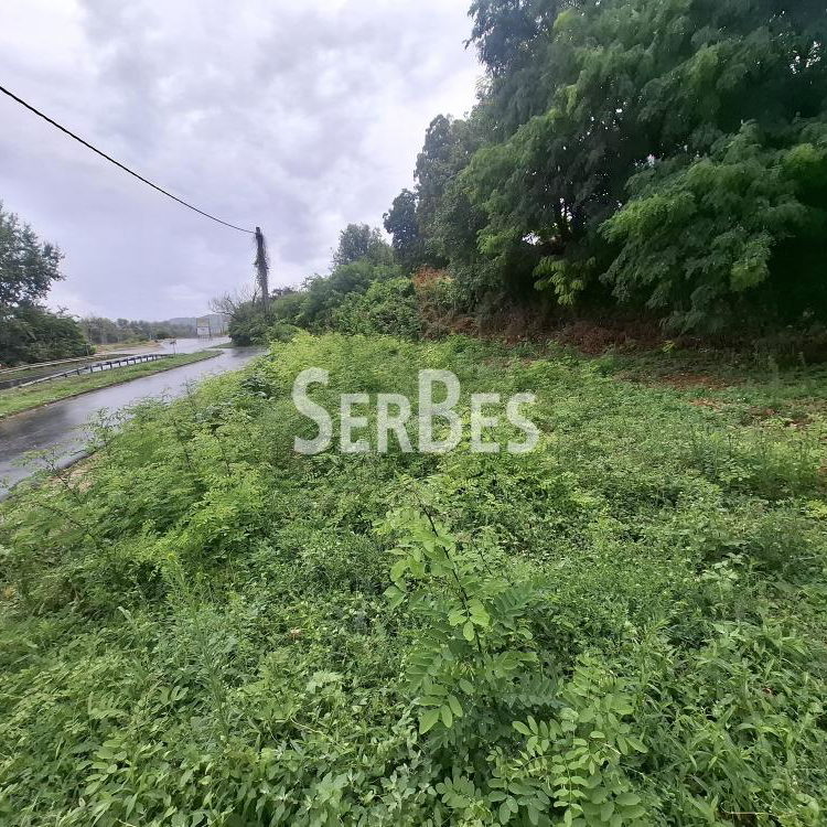 Plac na prodaju, Centar, Sremski Karlovci, 63.000 €