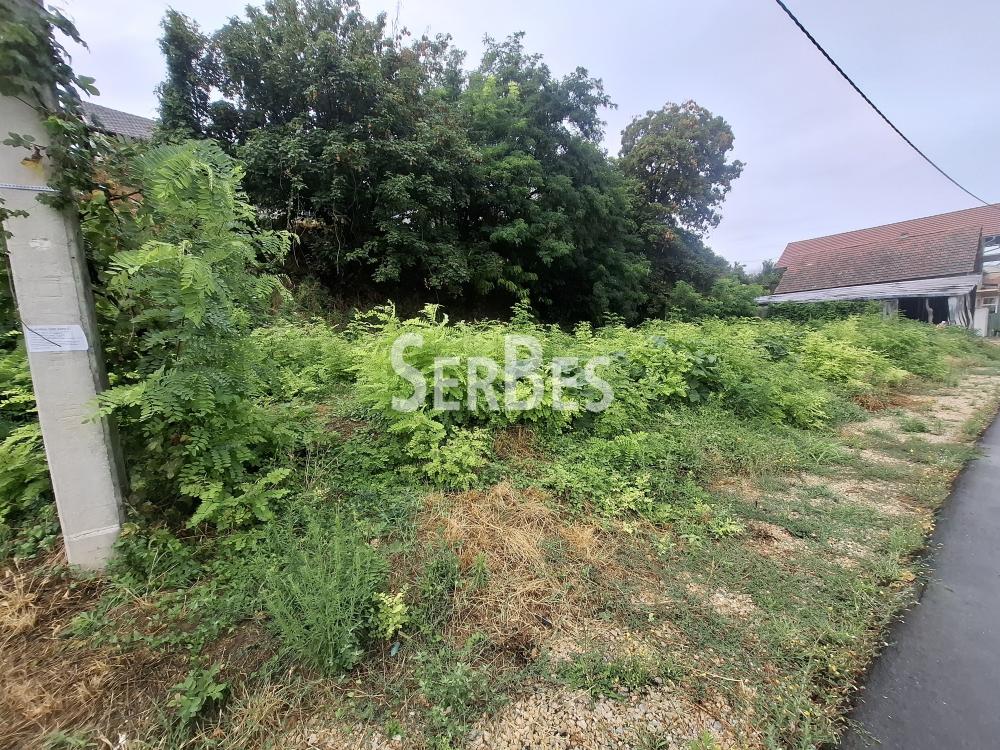 211001679-10-20250730120132 Plac na prodaju, Centar, Sremski Karlovci, 63.000 €