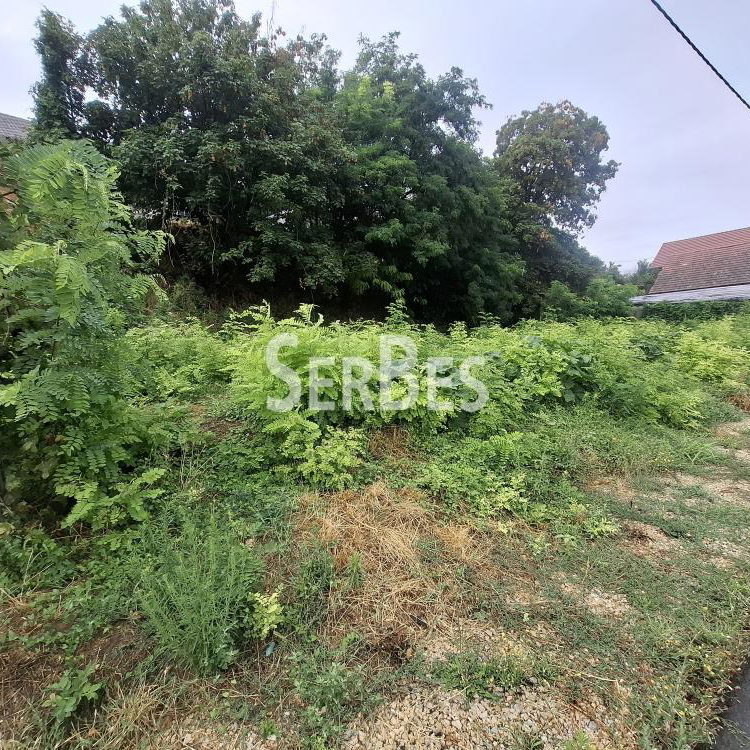 Plac na prodaju, Centar, Sremski Karlovci, 63.000 €