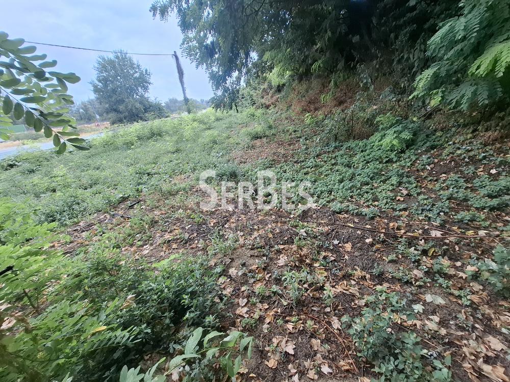 211001679-5-20250730120125 Plac na prodaju, Centar, Sremski Karlovci, 63.000 €