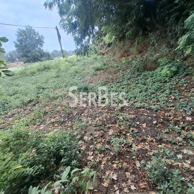 Plac na prodaju, Centar, Sremski Karlovci, 63.000 €