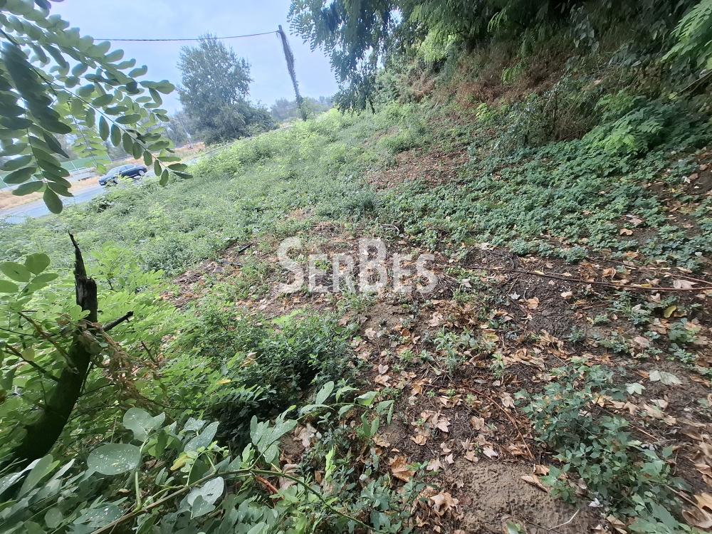 211001679-6-20250730120125 Plac na prodaju, Centar, Sremski Karlovci, 63.000 €
