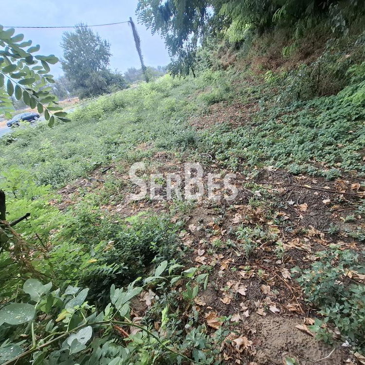 Plac na prodaju, Centar, Sremski Karlovci, 63.000 €