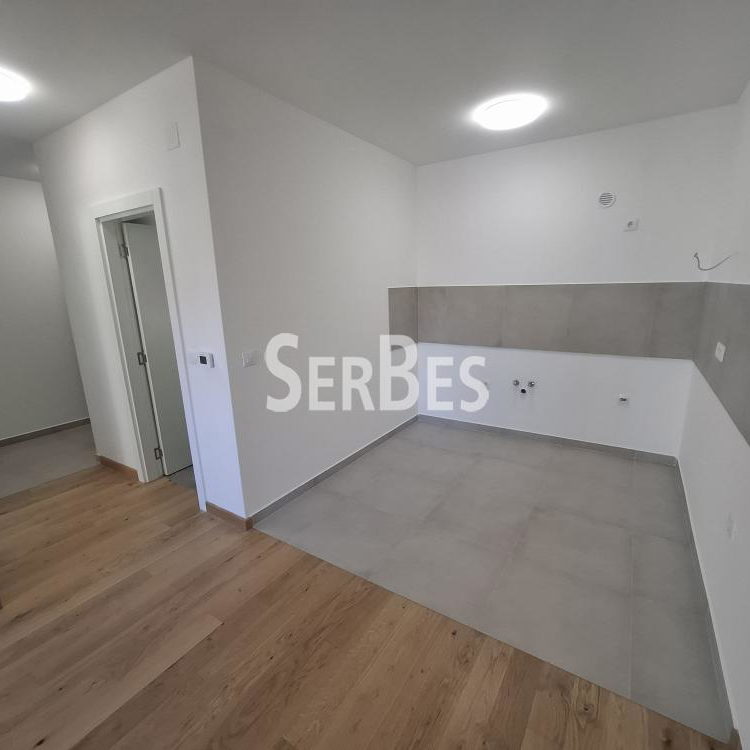 Dvosoban stan za izdavanje, Telep, Novi Sad, 46m², 450 €/mes