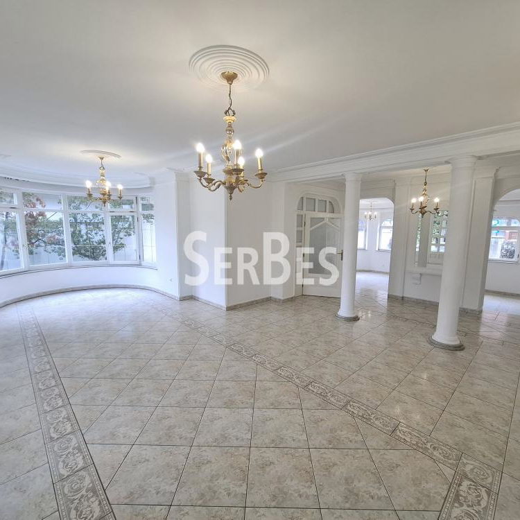 Lokal za izdavanje, Nova Detelinara, Novi Sad, 300m², 3.500 €/mes