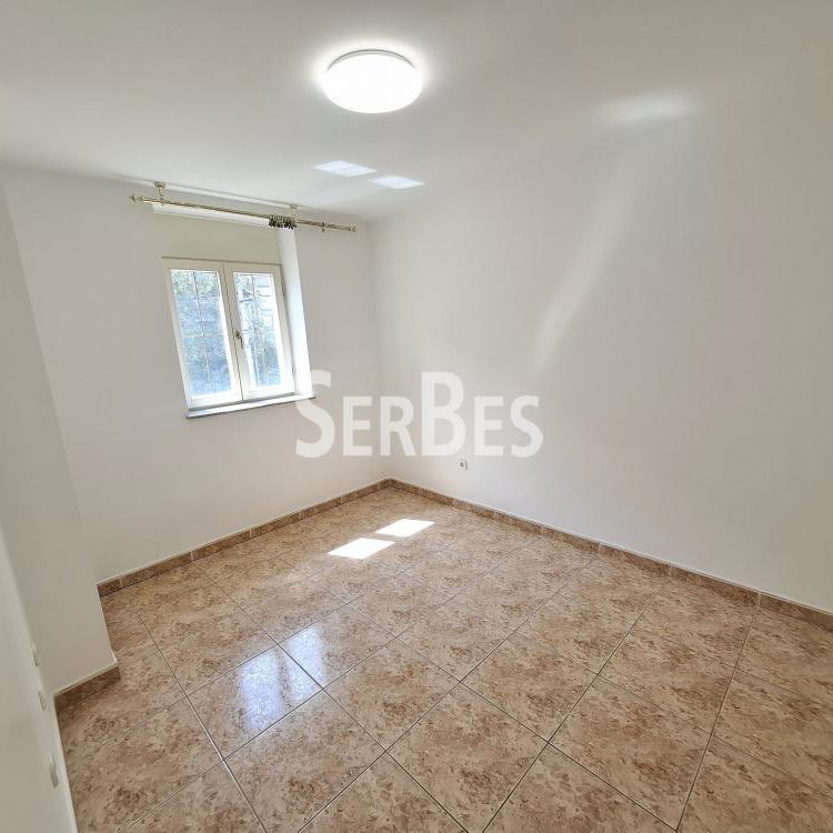 Lokal za izdavanje, Nova Detelinara, Novi Sad, 300m², 3.500 €/mes