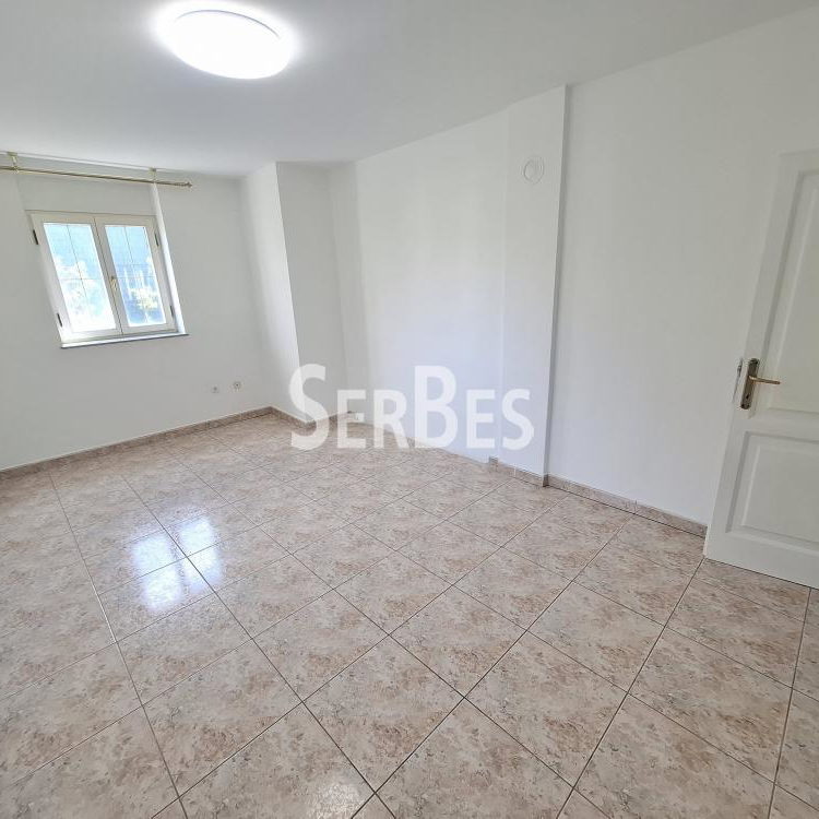 Lokal za izdavanje, Nova Detelinara, Novi Sad, 300m², 3.500 €/mes