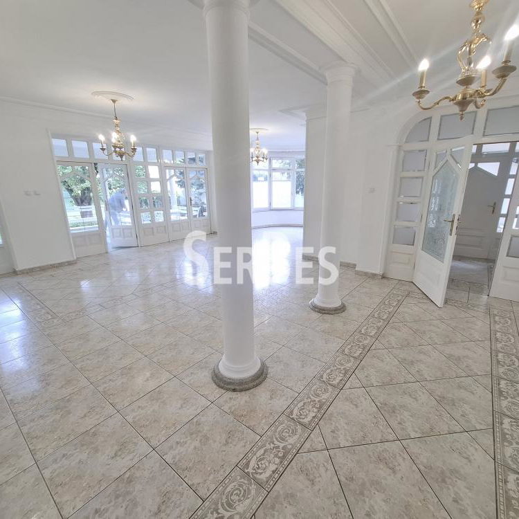 Lokal za izdavanje, Nova Detelinara, Novi Sad, 300m², 3.500 €/mes