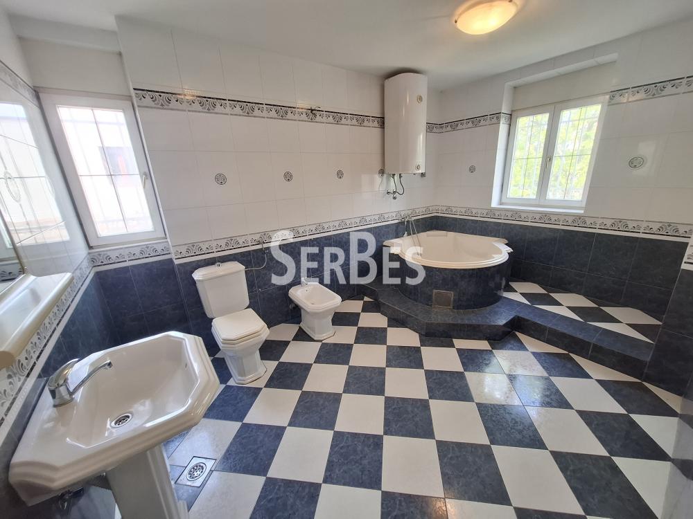 Lokal za izdavanje, Nova Detelinara, Novi Sad, 300m², 3.500 €/mes