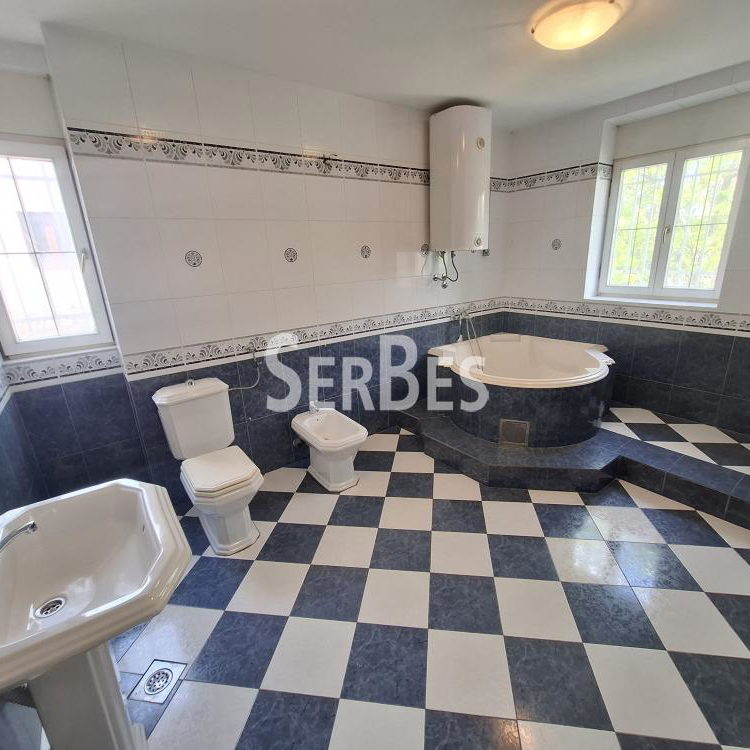 Lokal za izdavanje, Nova Detelinara, Novi Sad, 300m², 3.500 €/mes