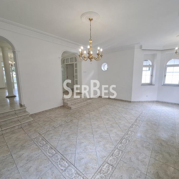 Lokal za izdavanje, Nova Detelinara, Novi Sad, 300m², 3.500 €/mes