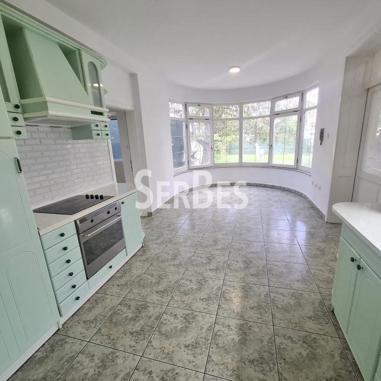 Lokal za izdavanje, Nova Detelinara, Novi Sad, 300m², 3.500 €/mes