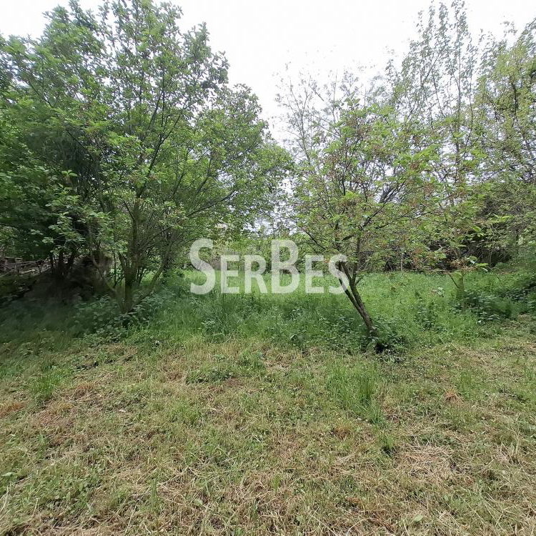 Plac na prodaju, Čerević, Beočin, 47.000 €