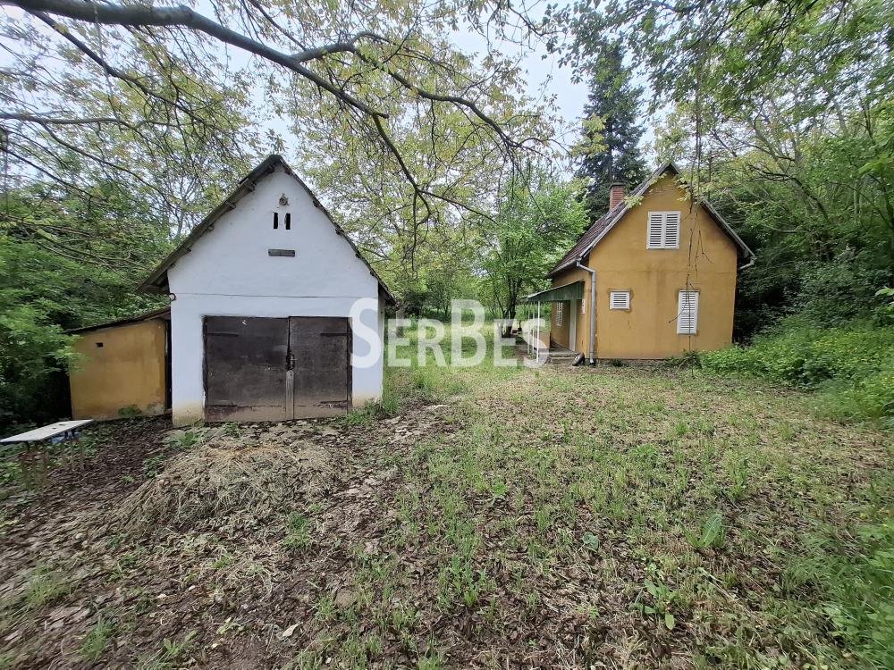 211001789-10-20260506121714 Plac na prodaju, Čerević, Beočin, 47.000 €