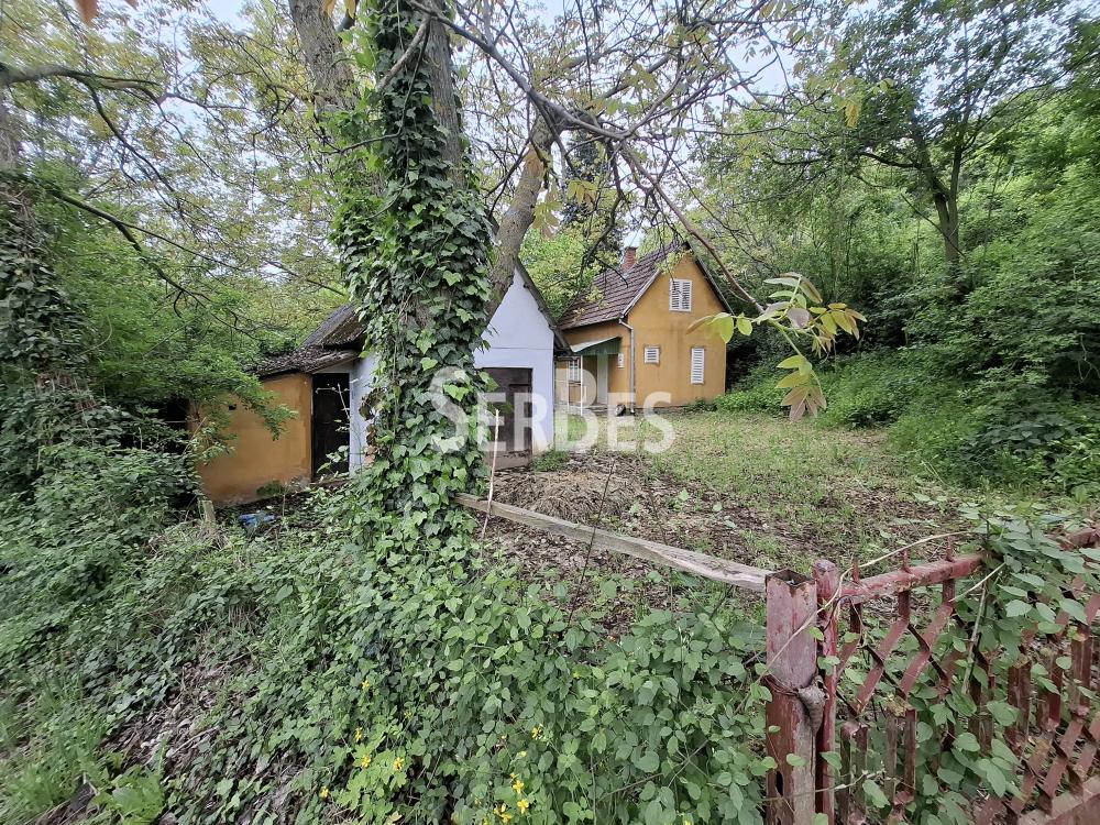 211001789-11-20260506121715 Plac na prodaju, Čerević, Beočin, 47.000 €