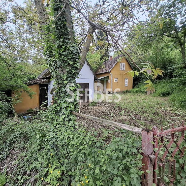 Plac na prodaju, Čerević, Beočin, 47.000 €