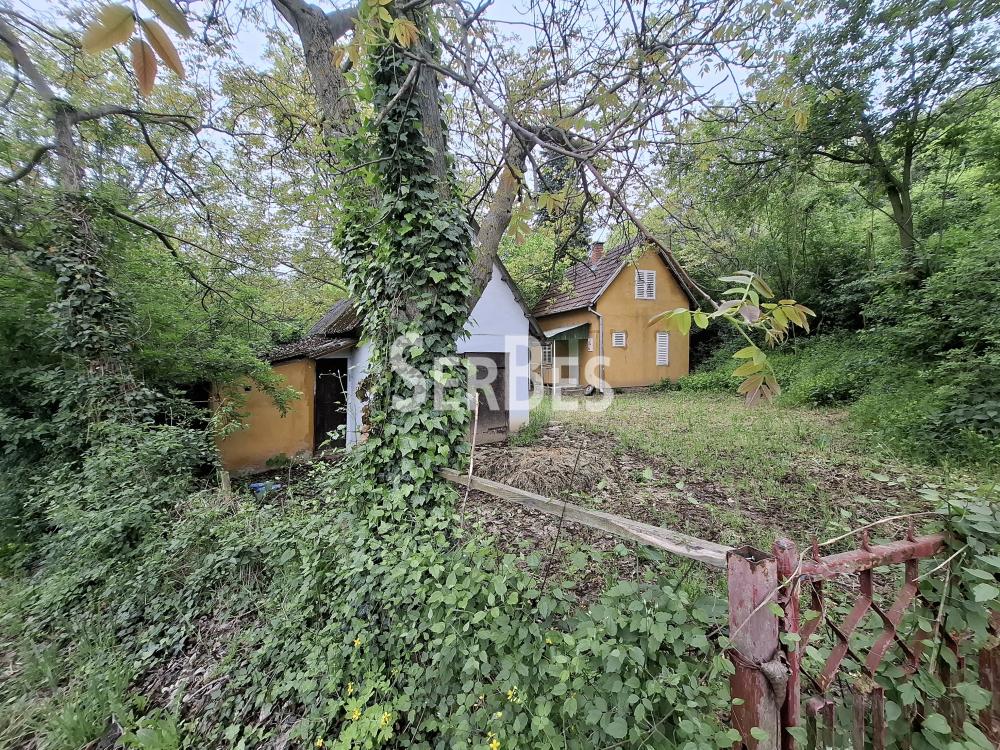 211001789-12-20260506121715 Plac na prodaju, Čerević, Beočin, 47.000 €