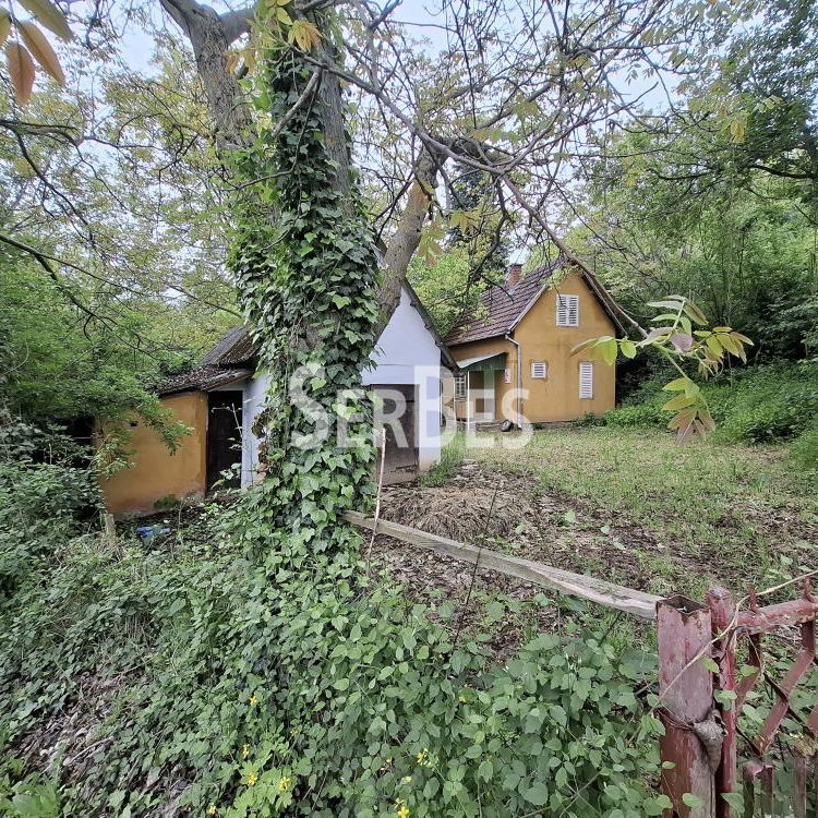 Plac na prodaju, Čerević, Beočin, 47.000 €