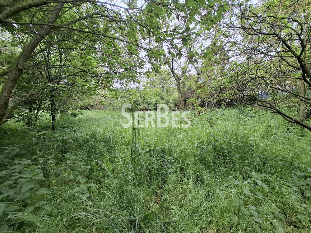 211001789-2-20260506121711 Plac na prodaju, Čerević, Beočin, 47.000 €