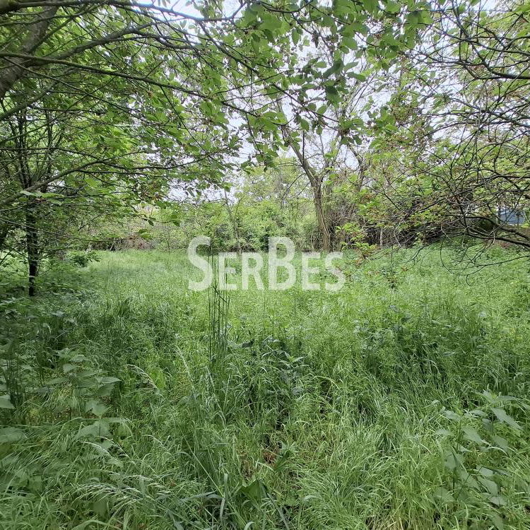 Plac na prodaju, Čerević, Beočin, 47.000 €