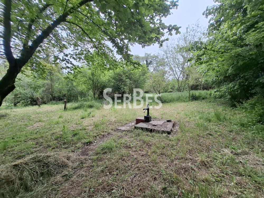 211001789-3-20260506121711 Plac na prodaju, Čerević, Beočin, 47.000 €