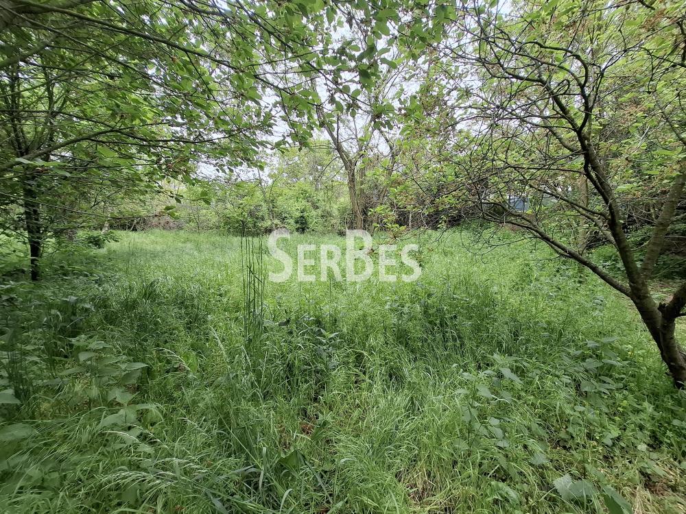 211001789-4-20260506121712 Plac na prodaju, Čerević, Beočin, 47.000 €
