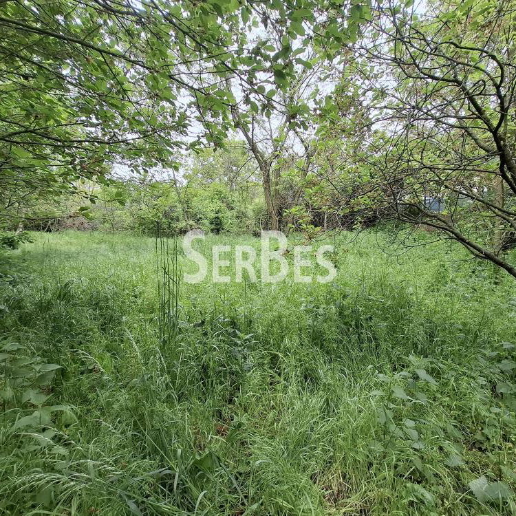 Plac na prodaju, Čerević, Beočin, 47.000 €