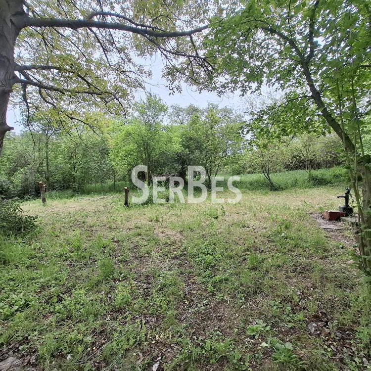 Plac na prodaju, Čerević, Beočin, 47.000 €