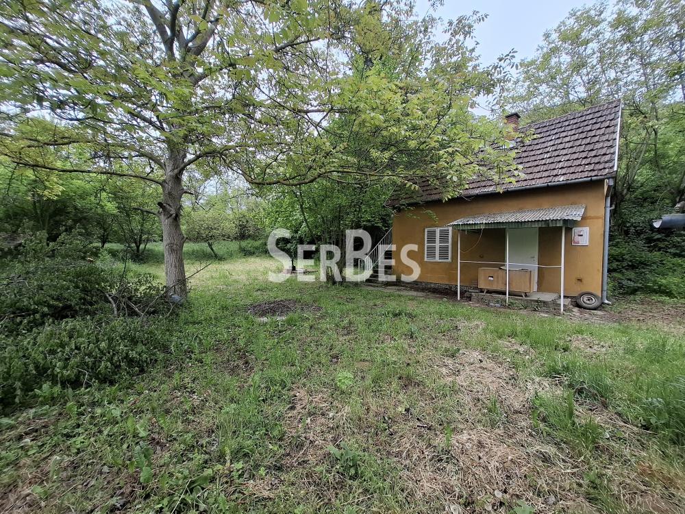 211001789-9-20260506121714 Plac na prodaju, Čerević, Beočin, 47.000 €