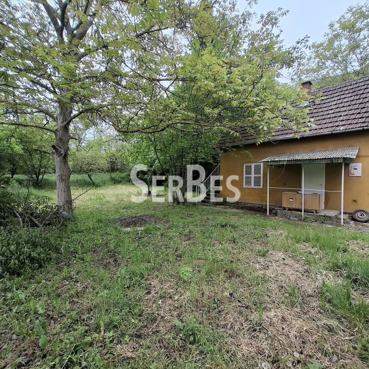 Plac na prodaju, Čerević, Beočin, 47.000 €
