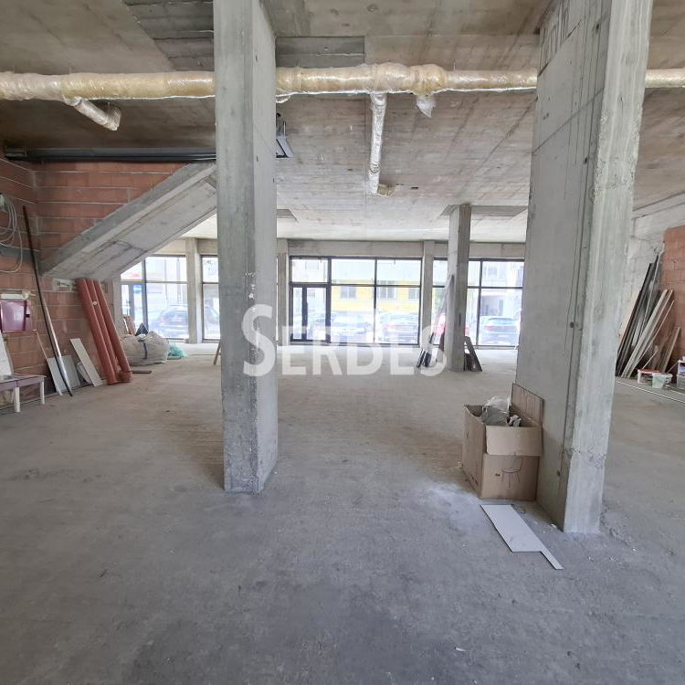 Lokal za izdavanje, Bulevar Oslobođenja, Novi Sad, 260m², 3.000 €/mes