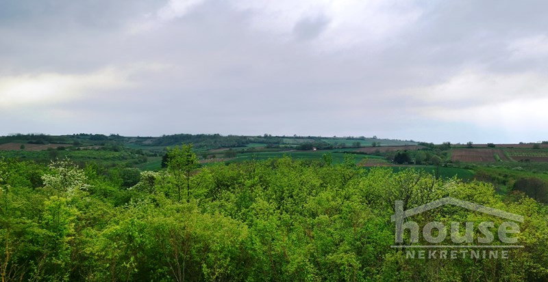 Plac Prodaja Novi Sad Plac Prodaja Novi Sad 1708 m2