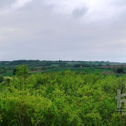Plac Prodaja Novi Sad  1708 m2