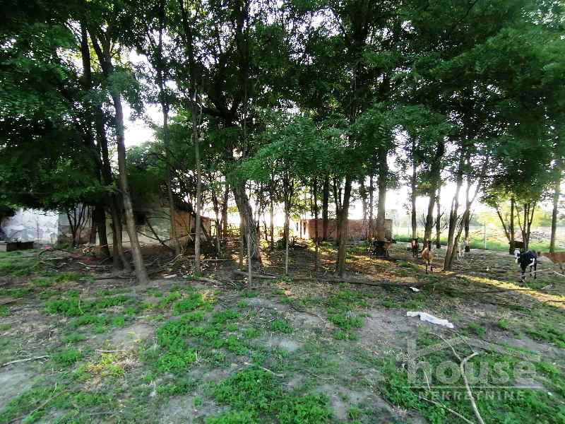 Plac Prodaja Novi Sad  15500 m2