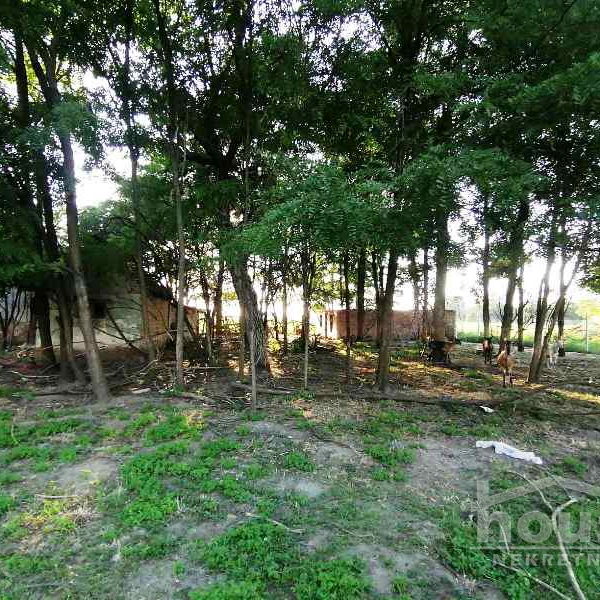 Plac Prodaja Novi Sad  15500 m2