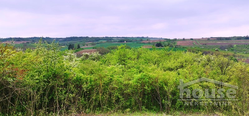 Plac Prodaja Novi Sad Plac Prodaja Novi Sad 1708 m2