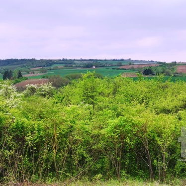 Plac Prodaja Novi Sad  1708 m2