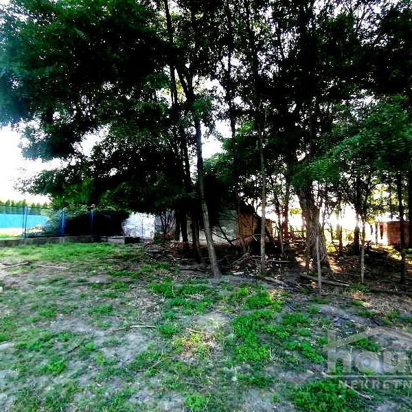 Plac Prodaja Novi Sad  15500 m2