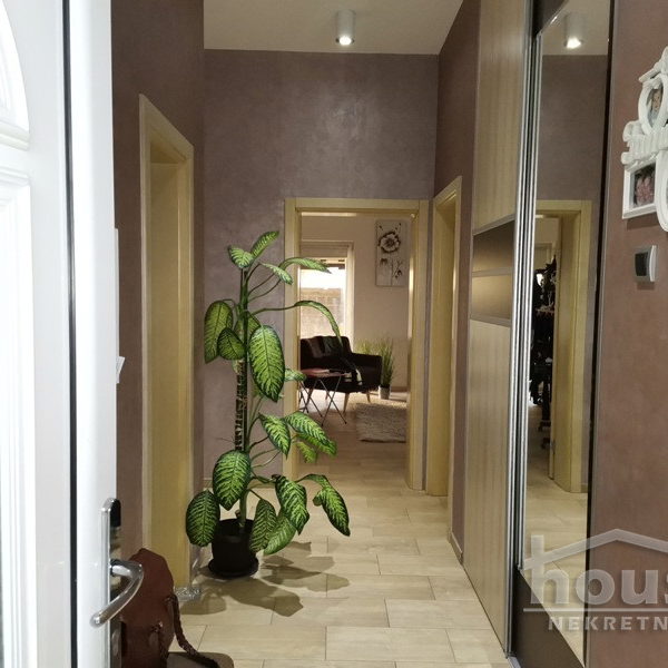 Kuća Izdavanje Novi Sad  311 m2