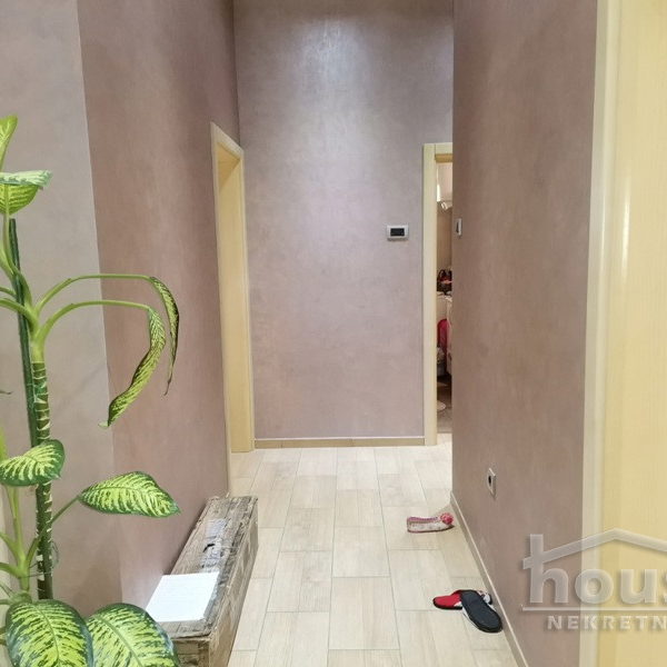 Kuća za izdavanje, Sajlovo, Novi Sad, 311m², 3.500 €/mes