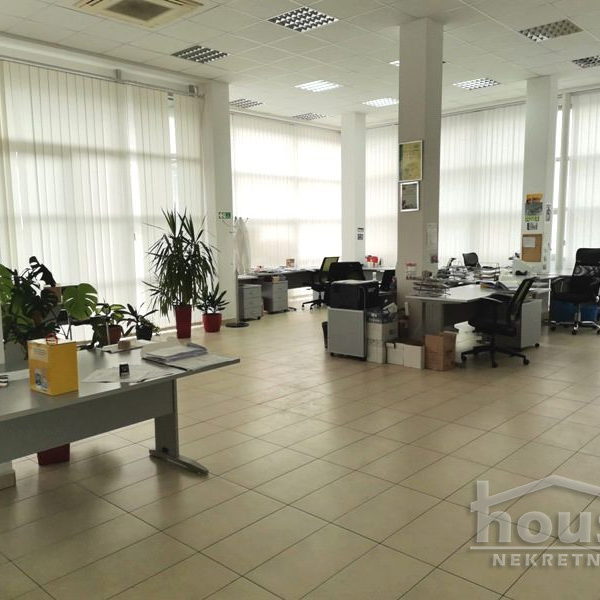 Lokal Izdavanje Novi Sad  400 m2