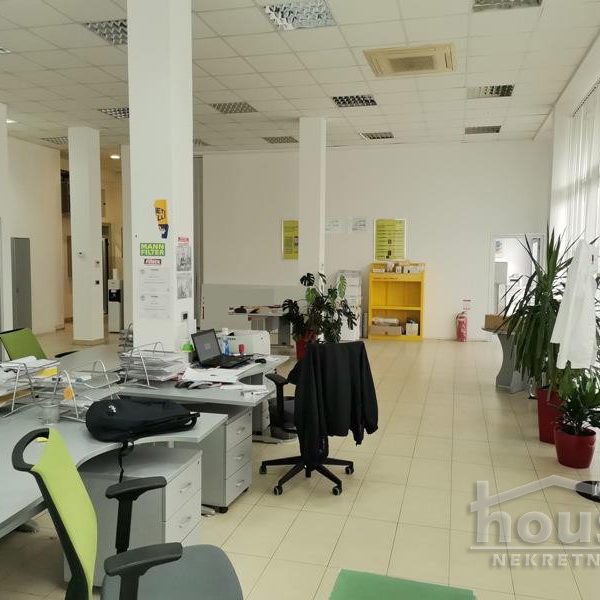 Lokal Izdavanje Novi Sad  400 m2