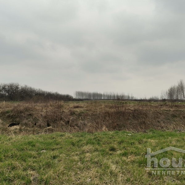 Plac Prodaja Novi Sad  50564 m2