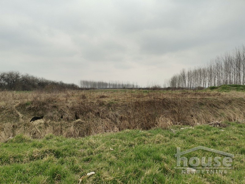 Plac Prodaja Novi Sad Plac Prodaja Novi Sad 50564 m2
